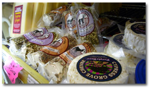gourmet cheeses